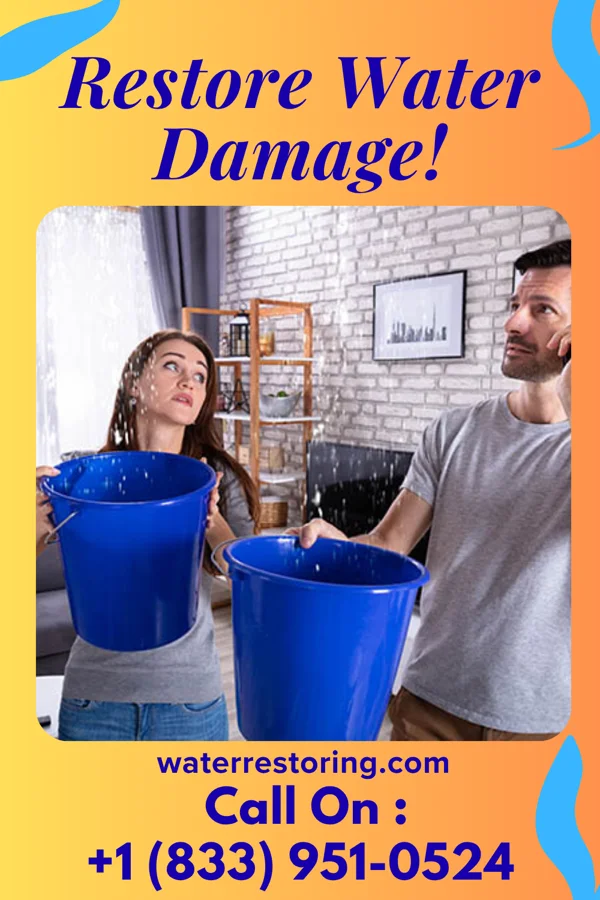water restoration Master Water Repair Group Clintondale