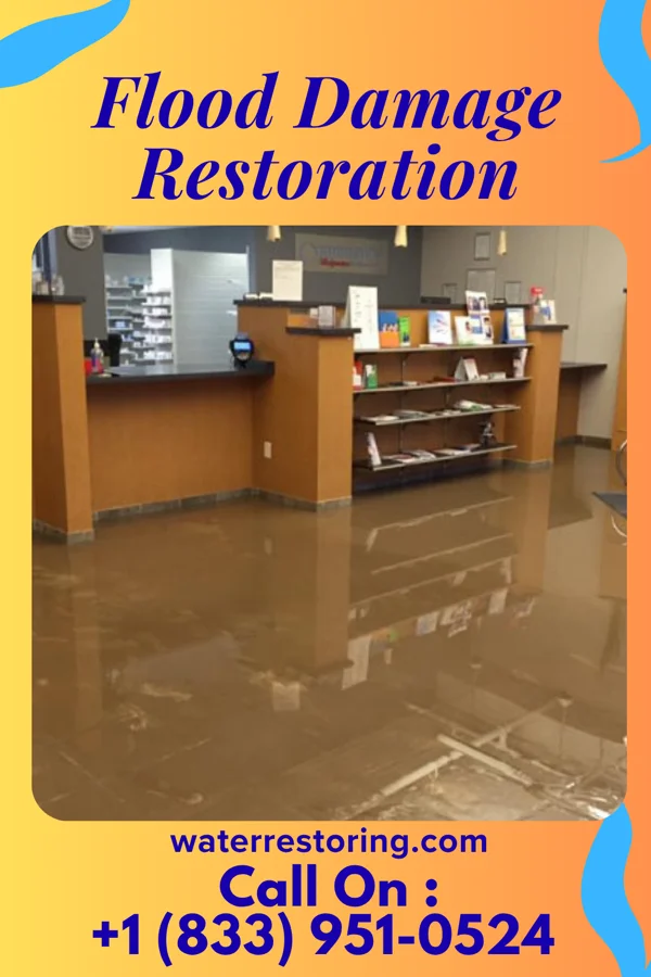 Flood Damage Restoration in Clintondale, PA