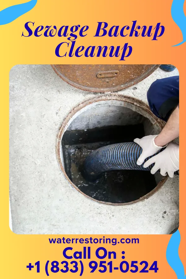 Sewage Backup Cleanup in Clintondale, PA