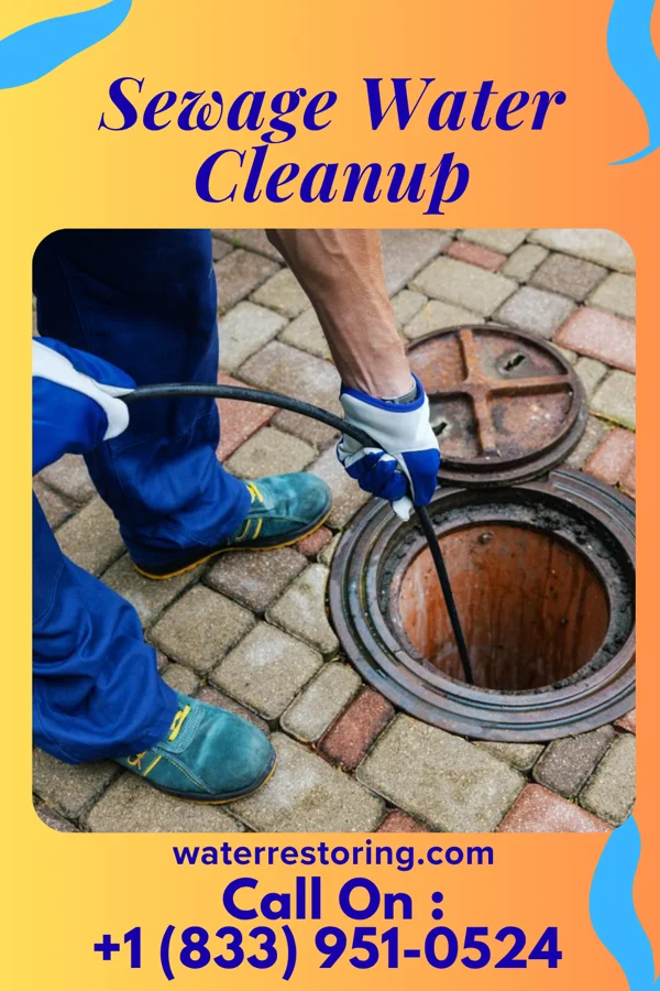 Sewage Water Cleanup in Clintondale, PA