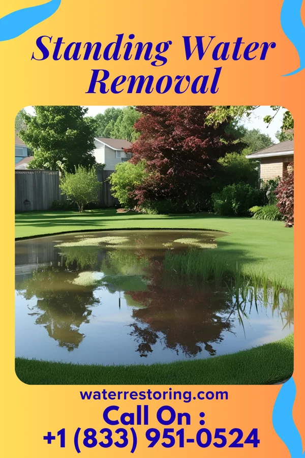 Standing Water Removal in Clintondale, PA